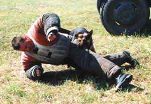 police_kynologia